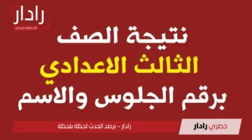 موعد ظهور نتيجة الشهادة الإعدادية 2025 الاسكندرية وخطوات الاستعلام فور ظهورها