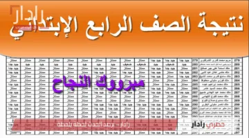 لينك “eduserv.cairo.gov.eg”.. نتيجة الصف الرابع الابتدائي بالاسم فقط 2025 عبر بوابة التعليم