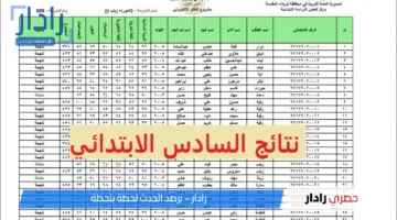 “النتيجة ظهرت!؟”.. لينك نتيجة الصف السادس الابتدائي بالرقم القومي 2025 عبر بوابة التعليم الأساسي eduserv.cairo.gov.eg