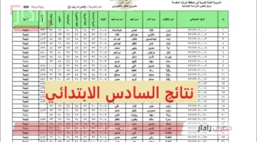 هسه لينك نتائج الصف السادس الابتدائي الدور الاول في عموم العراق لكافة المحافظات عبر وزارة التربية العراقية