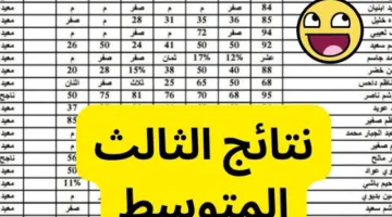 بالرقم الامتحاني.. الان رابط نتائج الثالث المتوسط في العراق 2025 الدور الاول عبر موقع nataegna.net