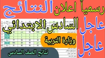 استعلم الان.. نتائج صف سادس ابتدائي 2025 موقع نتائجنا برابط شغال