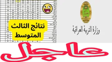 بصيغة PDF.. رابط نتائج الثالث متوسط الدور الاول 2025 بلينك مباشر عبر موقع نتائجنا
