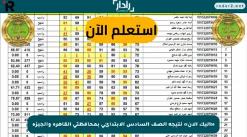 «إليك الآن» نتيجة الصف السادس الابتدائي بمحافظتي القاهرة والجيزة