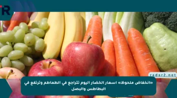 «انخفاض ملحوظ» أسعار الخضار اليوم تتراجع في الطماطم وترتفع في البطاطس والبصل