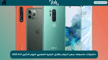 «تحركات حاسمة» سعر الدولار مقابل الجنيه المصري اليوم الاثنين 9-6-2025