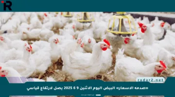 «صدمة الأسعار» البيض اليوم الإثنين 9 6 2025 يصل لارتفاع قياسي
