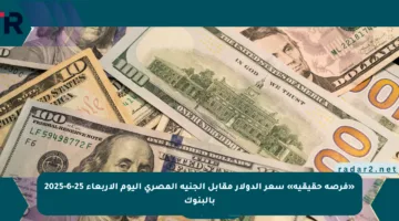 «فرصة حقيقية» سعر الدولار مقابل الجنيه المصري اليوم الأربعاء 25-6-2025 بالبنوك