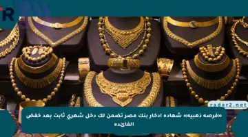 «فرصة ذهبية» شهادة ادخار بنك مصر تضمن لك دخل شهري ثابت بعد خفض الفائدة