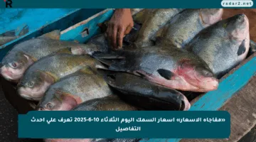 «مفاجأة الأسعار» أسعار السمك اليوم الثلاثاء 10-6-2025 تعرف على أحدث التفاصيل
