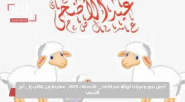 أجمل صور وعبارات تهنئة عيد الأضحى للأصدقاء 2025.. معايدة من القلب إلى أعز الأحباب