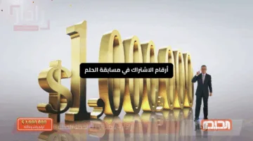 اكتب اسمك مع الفائزين في السحب القادم .. أرقام الاشتراك في مسابقة الحلم 2025 جميع الدول العربية