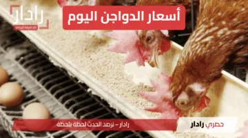 “بشرة سارة” أسعار الدواجن اليوم الخميس 12 يونيو 2025.. ماذا حدث بعد الانخفاض الكبير؟