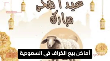 دليلك الشامل.. أماكن بيع الخراف في السعودية لعام 2025-1446