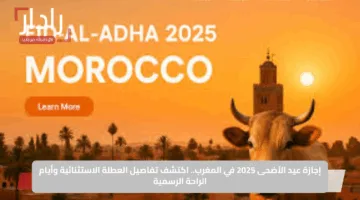 إجازة عيد الأضحى 2025 في المغرب.. اكتشف تفاصيل العطلة الاستثنائية وأيام الراحة الرسمية