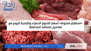 «استقرار ملحوظ» أسعار اللحوم الحمراء والبلدية اليوم مع تفاصيل المنافذ المختلفة