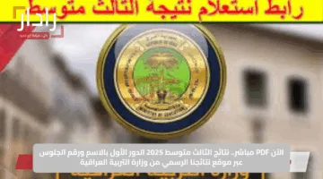 الآن PDF مباشر.. نتائج الثالث متوسط 2025 الدور الأول بالاسم ورقم الجلوس عبر موقع نتائجنا الرسمي من وزارة التربية العراقية