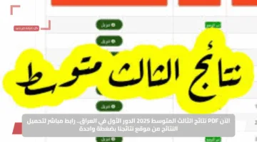الآن PDF نتائج الثالث المتوسط 2025 الدور الأول في العراق.. رابط مباشر لتحميل النتائج من موقع نتائجنا بضغطة واحدة