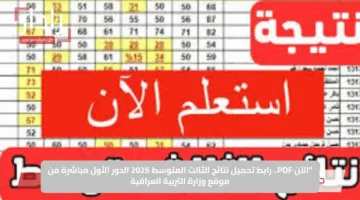 “الآن PDF.. رابط تحميل نتائج الثالث المتوسط 2025 الدور الأول مباشرة من موقع وزارة التربية العراقية