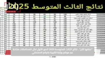 “حمّلها الآن”.. نتائج الثالث المتوسط 2025 الدور الأول لكل المحافظات متاحة عبر موقع وزارة التربية بالرقم الامتحاني