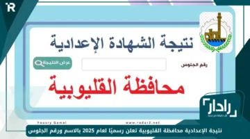 «مبروك للناجحين» نتيجة الإعدادية محافظة القليوبية تعلن رسميًا لعام 2025 بالاسم ورقم الجلوس