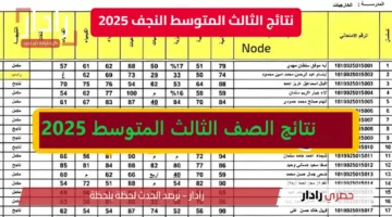 “استعلم فورًا” جميع روابط نتائج الثالث المتوسط النجف 2025…. وتحميل مباشر لملفات PDF