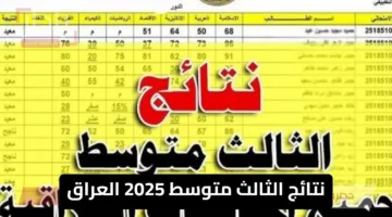 خطوات الاستعلام عن نتائج الثالث متوسط 2025 العراق إلكترونيًا عبر موقع الوزارة الرسمي
