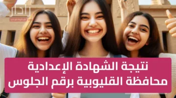 عاجل وهام… موقع نتيجة الشهادة الإعدادية 2025 بالقليوبية مفعل الآن للاستعلام عن النتائج الدور الأول ترم ثاني