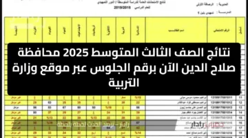 نتائج الصف الثالث المتوسط 2025 محافظة صلاح الدين الآن برقم الجلوس عبر موقع وزارة التربية
