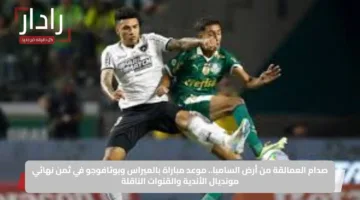 صدام العمالقة من أرض السامبا.. موعد مباراة بالميراس وبوتافوجو في ثمن نهائي مونديال الأندية والقنوات الناقلة