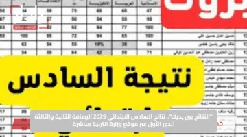 “النتائج بين يديك”.. نتائج السادس الابتدائي 2025 الرصافة الثانية والثالثة الدور الأول عبر موقع وزارة التربية مباشرة