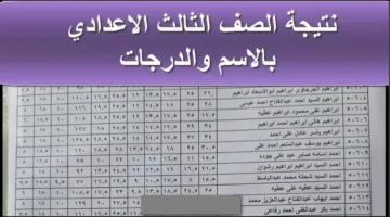 رابط نتيجة الصف الثالث الاعدادي برقم الجلوس والاسم 2025 الترم الثاني القاهرة وجميع المحافظات