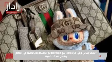 “بسعر خيالي وفي مزاد نادر.. بيع دمية لابوبو الوحيدة من نوعها في العالم يشعل ضجة عالمية