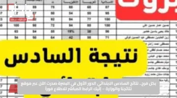 بكل فرح.. نتائج السادس الابتدائي الدور الأول في البصرة صدرت الآن عبر موقع نتائجنا والوزارة – إليك الرابط المباشر للاطلاع فوراً