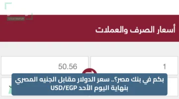 بكم في بنك مصر؟.. سعر الدولار مقابل الجنيه المصري بنهاية اليوم الأحد USD/EGP