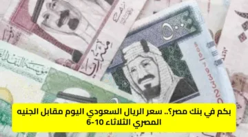 بكم في بنك مصر؟.. سعر الريال السعودي اليوم مقابل الجنيه المصري الثلاثاء 10-6