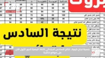بنسبة نجاح كبيرة.. نتائج السادس الابتدائي 2025 البصرة الدور الأول الآن على موقع نتائجنا