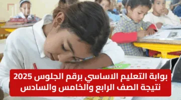 “مُتاح الآن”.. لينك دخول موقع وزارة التربية والتعليم بالإسكندرية النتائج 2025 www.alexandria.gov.eg برقم الجلوس