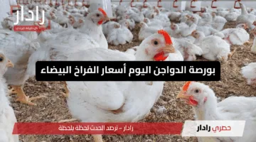 بورصة الدواجن اليوم أسعار الفراخ البيضاء الاثنين ٩ يونيو 2025