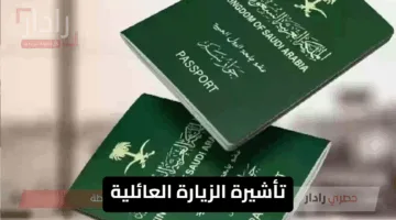 تأشيرة الزيارة العائلية في المملكة العربية السعودية.. خطوات مبسطة وخدمة إلكترونية ميسّرة