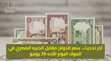 مفاجأة بعد العطلة.. سعر الدولار مقابل الجنيه المصري اليوم الأحد 29 يونيو USD
