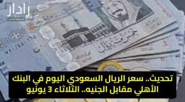 تحديث.. سعر الريال السعودي اليوم في البنك الأهلي مقابل الجنيه.. الثلاثاء 3 يونيو