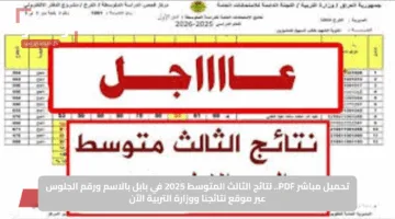 تحميل مباشر PDF.. نتائج الثالث المتوسط 2025 في بابل بالاسم ورقم الجلوس عبر موقع نتائجنا ووزارة التربية الآن
