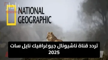 تردد قناة ناشيونال جيوغرافيك نايل سات 2025 وعرب سات .. استكشاف عالم الحيوان كما لم تره من قبل