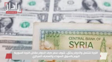 الليرة تشتعل والدولار يحلّق.. شوف سعر صرف الدولار مقابل الليرة السورية اليوم بالسوق السوداء والمصرف المركزي