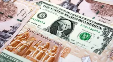 تعرف على سعر صرف الدولار مقابل الجنيه المصري اليوم