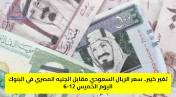 تغير كبير.. سعر الريال السعودي مقابل الجنيه المصري في البنوك اليوم الخميس 12-6