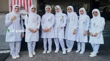 معلومات حصرية.. تنسيق جميع المدارس بعد الإعدادية 2025 هل تعرف الحدود الدنيا للقبول هذا العام؟