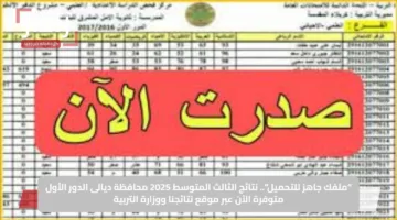 “ملفك جاهز للتحميل”.. نتائج الثالث المتوسط 2025 محافظة ديالى الدور الأول متوفرة الآن عبر موقع نتائجنا ووزارة التربية