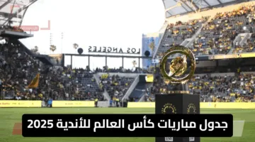 “اتفرج علي المونديال مجانًا” جدول مباريات كأس العالم للأندية 2025 المنقولة علي القنوات الناقلة المجانية